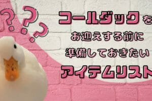 コールダックを飼うときに必要なもの大公開!ヒナの環境を1ヵ月間30℃にキープした方法など