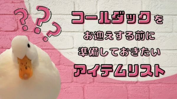 コールダックを飼うときに必要なもの大公開!ヒナの環境を1ヵ月間30℃にキープした方法など