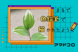 まるで色鉛筆で描いたかのような斑の入り方をしたアマドコロさん