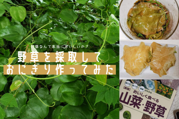 野草っておいしい？採取・調理しておにぎりにしてみた！野草を食べるにあたっておすすめの１冊も紹介