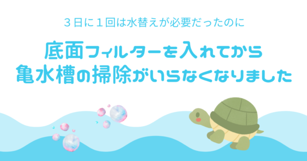 亀水槽に底面フィルターを入れて3カ月、大掃除がいらなくなりました
