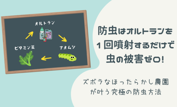 もう防虫に悩まなくていい！虫に食べられないノーストレスな家庭菜園ライフ