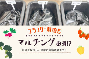 プランター家庭菜園のマルチングなしは非常識?夏は絶対必要!水やり問題解決